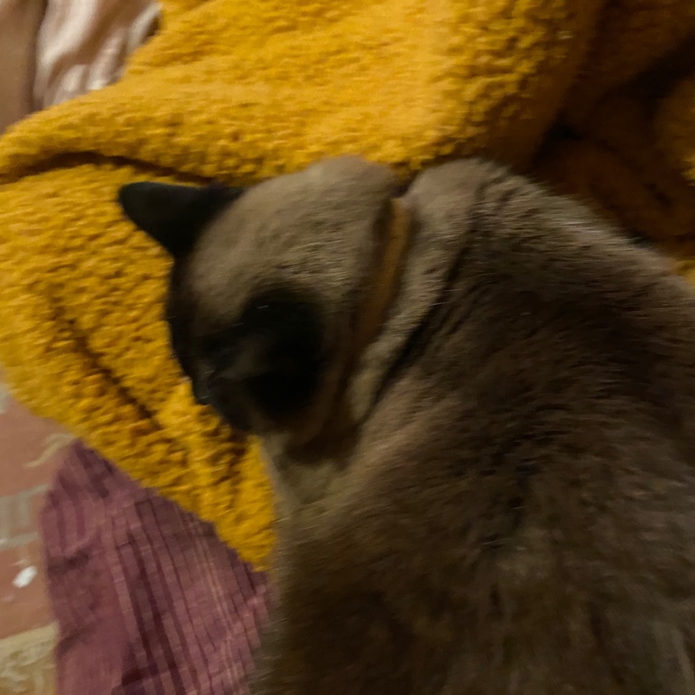 Meet your Posher, Emilie